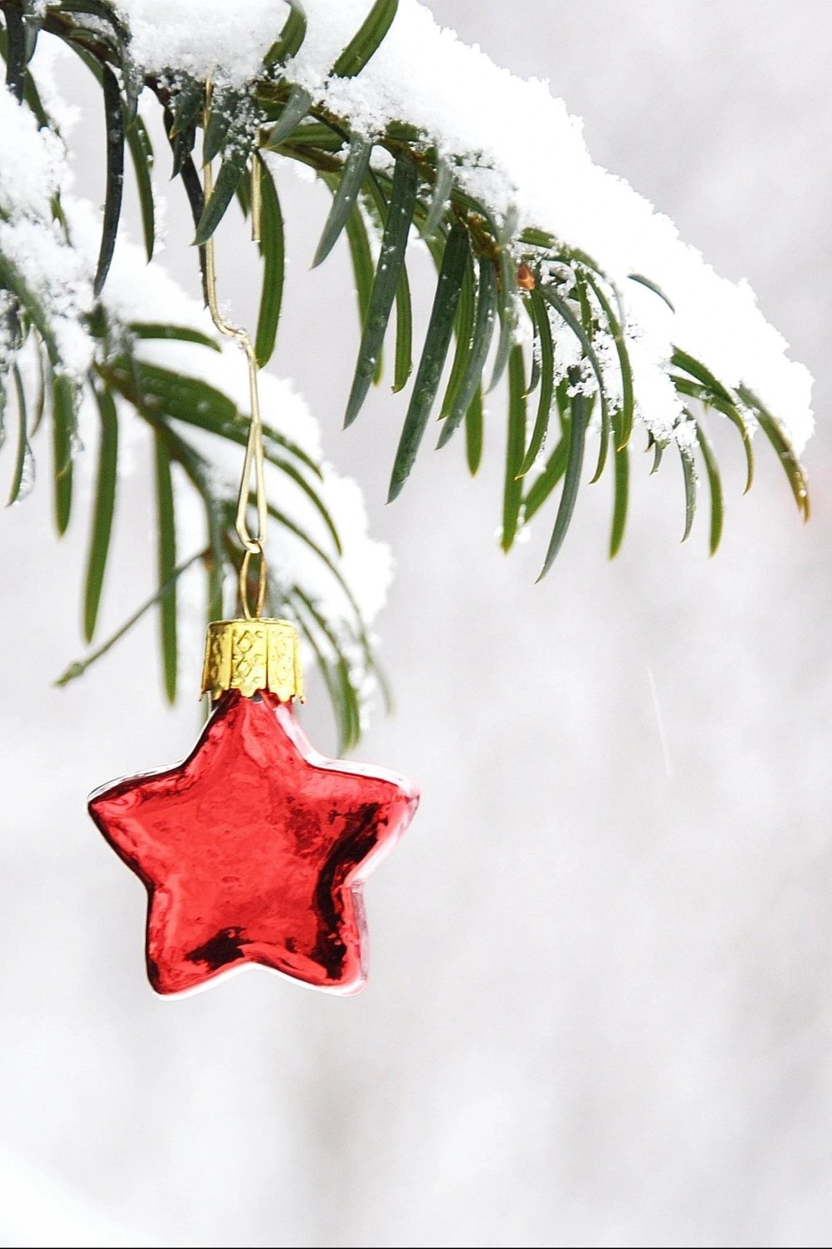 A Carol for&nbsp;Children